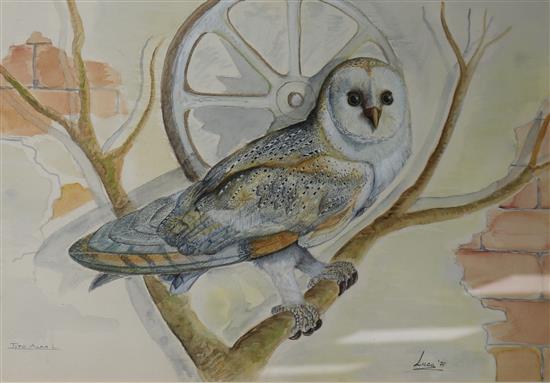 Luca Palermo (b. Rome 1956), watercolour and bodycolour, study of an owl, 37 x 56cm